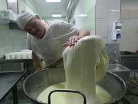 Как в Тюмени варят сыр: испытано на себе