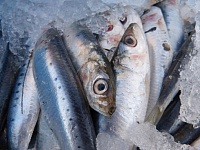 С несанкционированных прилавков Тюмени зимой изъяли более 300 кг рыбы