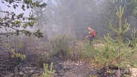На Ямале с лесными пожарами борются более 40 спасателей