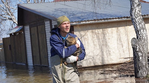 В Тюменской области сотрудники МЧС России спасли домашних животных