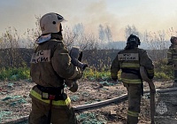 В Тюменской области за информацию о поджигателях лесов будут платить по 40 тысяч рублей