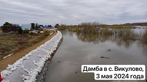 Александр Моор: В Викулово на реке Ишим очередной рекорд из-за половодья, до максимума еще неделя