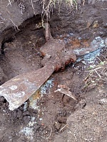 Тюменские поисковики под Новгородом нашли останки летчика-истребителя