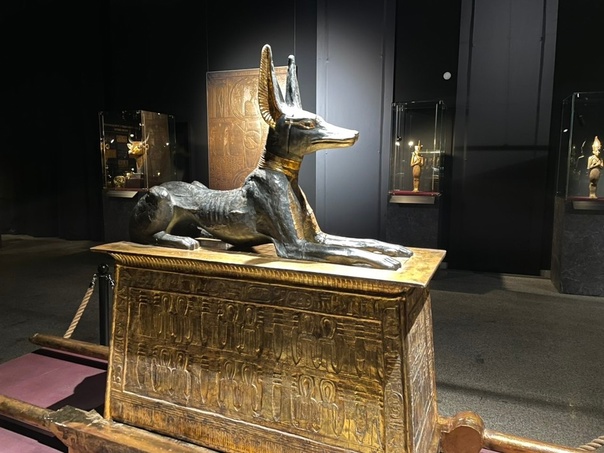 Афиша на выходные в Тюмени: Ночь музеев-2024, забег "Стальной характер", семейный этикет