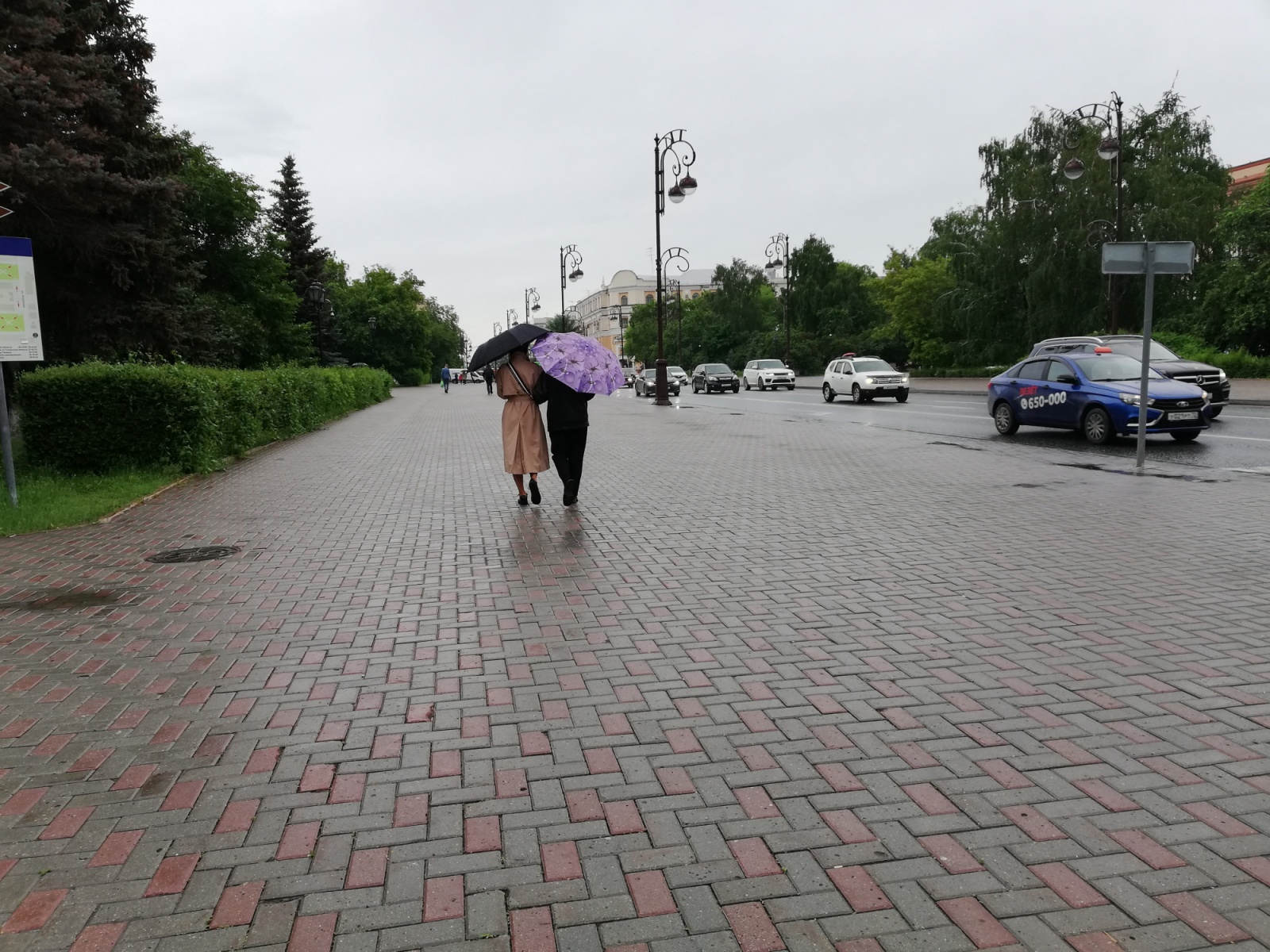 Жителей Тюменской области предупреждают о дождях и сильном ветре | Вслух.ru