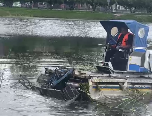 В Тюмени начали расчистку Южного пруда