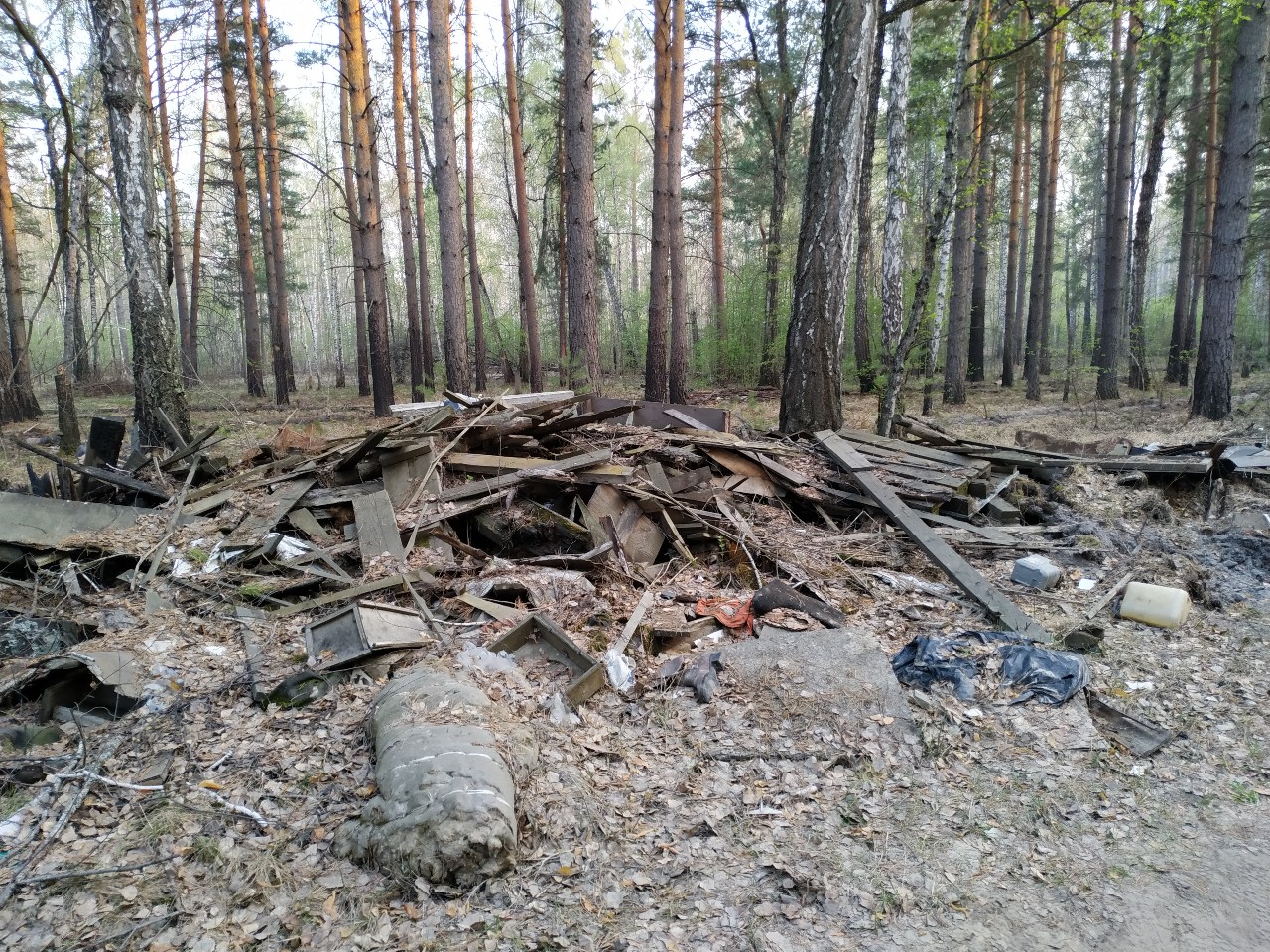 В лесу у Винзилей обнаружили свежую свалку, в которой нашли документы с  личными данными | Вслух.ru