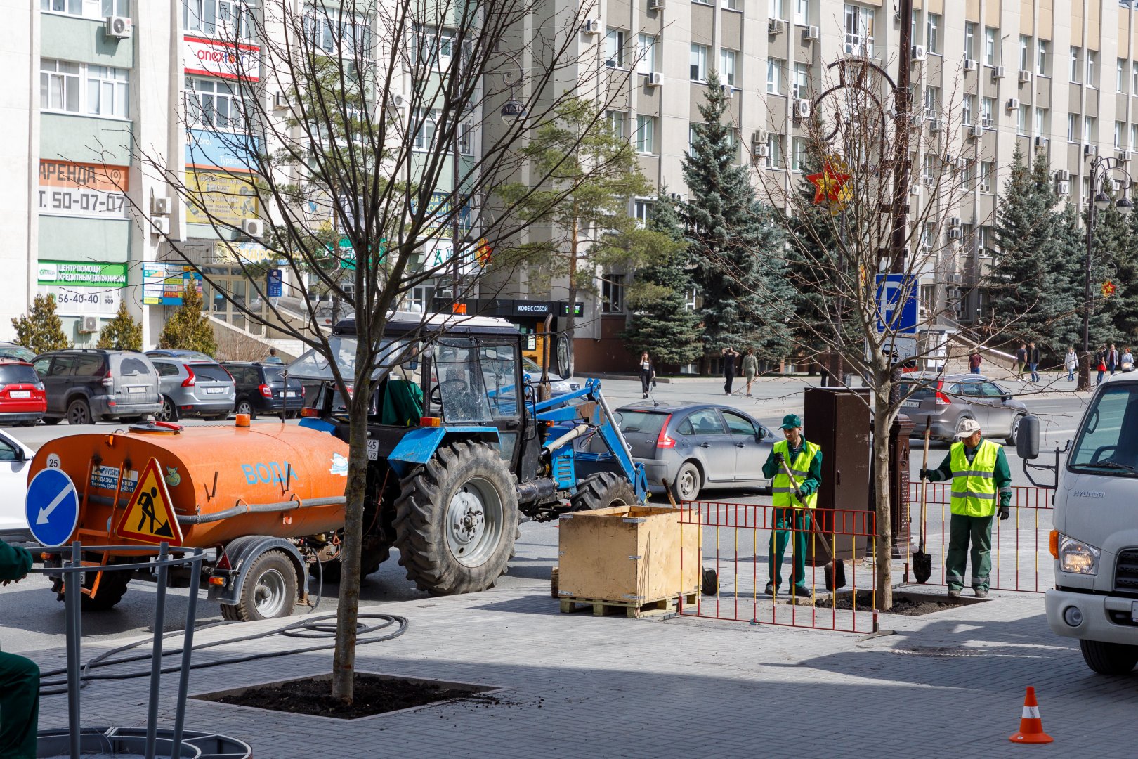 На улице Республики в Тюмени высадят 65 морозостойких лип | Вслух.ru