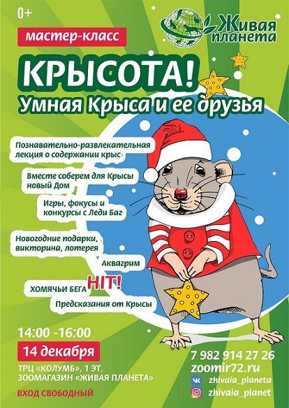 Афиша на уик-энд: покупаем подарки, играем в квиз и слушаем рок-н-ролл