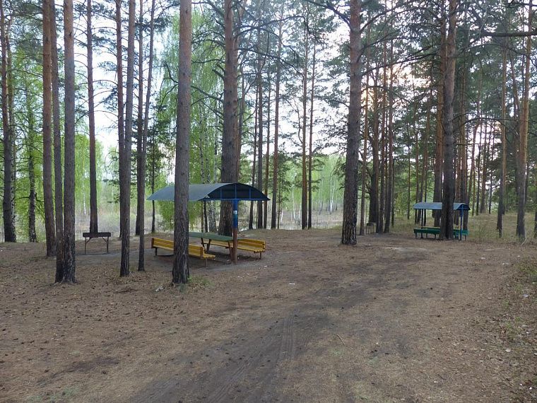 Где пожарить шашлыки в Тюмени на майские праздники