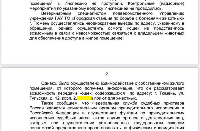 Задыхаются от запаха мочи: в Тюмени скандально известную заводчицу вновь обвиняют в устройстве «концлагеря» для кошек