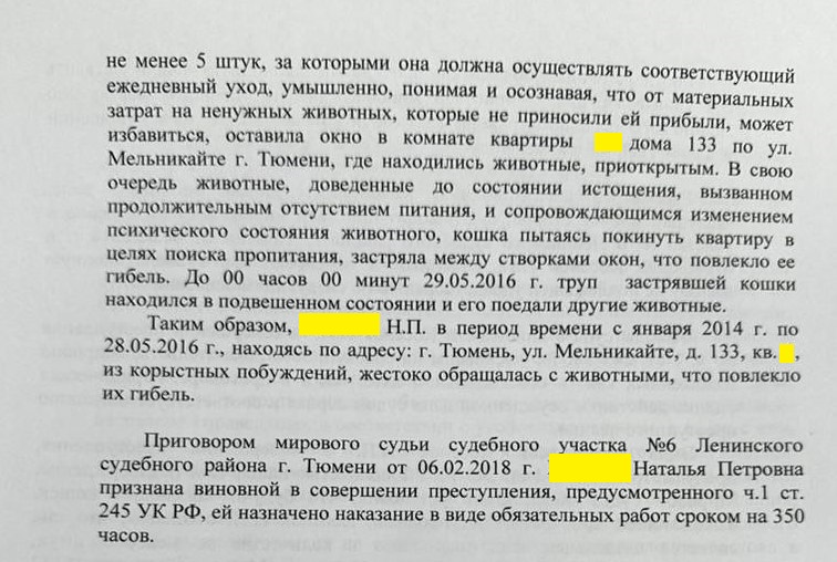 Задыхаются от запаха мочи: в Тюмени скандально известную заводчицу вновь обвиняют в устройстве «концлагеря» для кошек