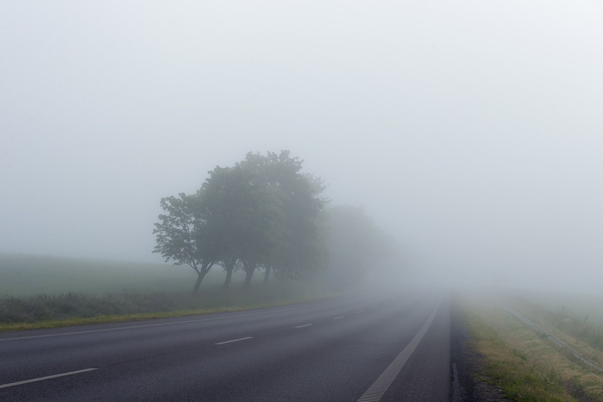 Как правильно ездить в туман – совет автоэксперта | Вслух.ru