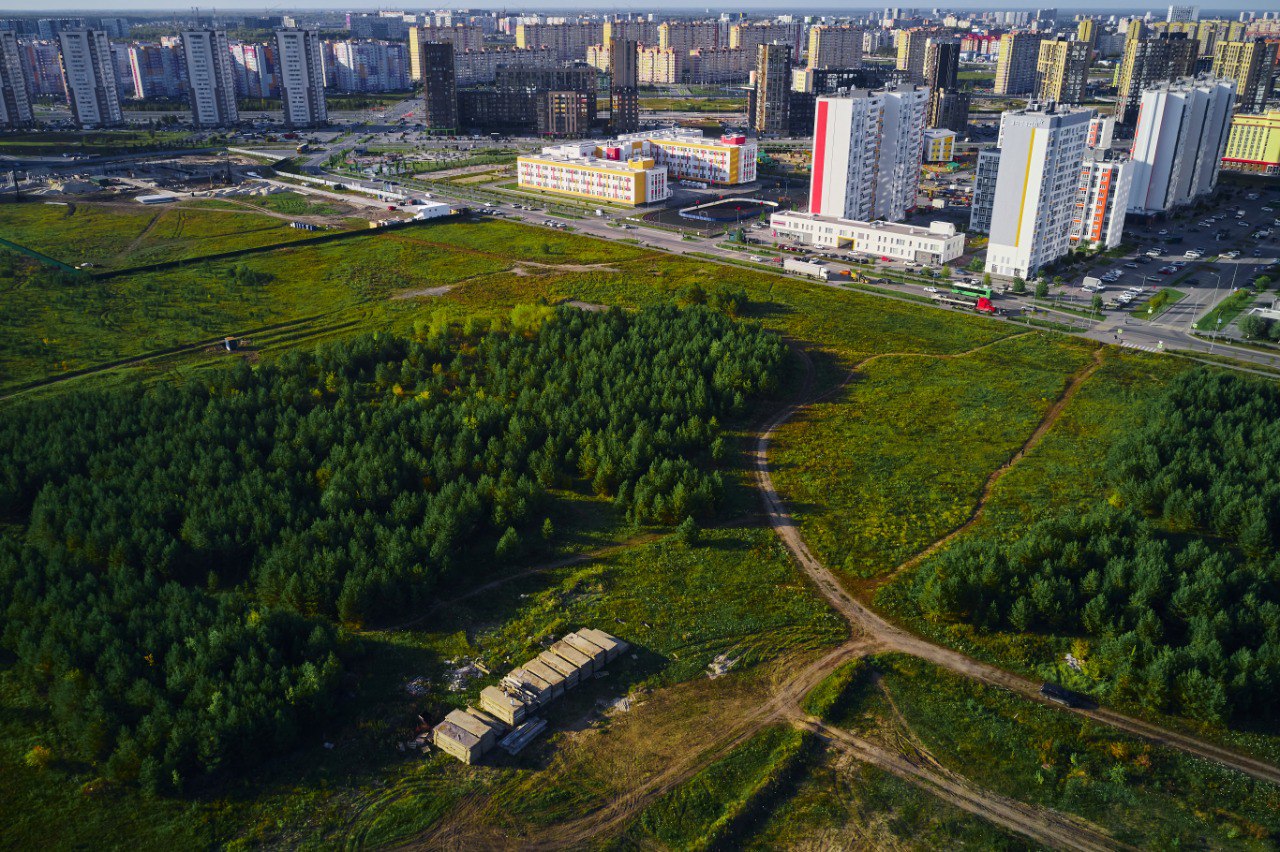 Ближе к природе: в Тюмени построят первый жилой комплекс со своим лесным  массивом | Вслух.ru