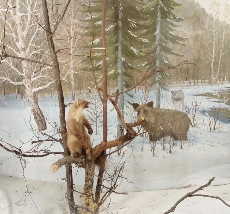 Моя Уфа: исчезнувший Салават, горы грязного снега и добрые люди