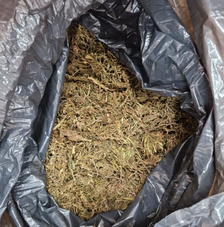 Под Ишимом полицейские задержали мужчину с мешком конопли