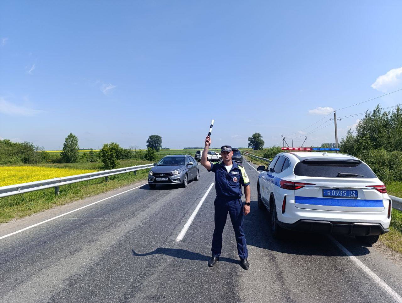 На дороге Шадринск - Ялуторовск ограничено движение из-за смертельного ДТП  | Вслух.ru