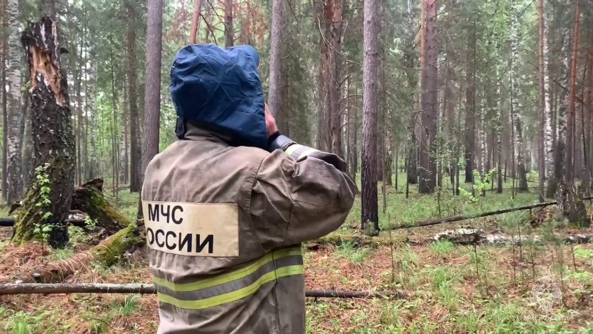 На поиски потерявшихся детей в Свердловскую область из Тюмени направят  вертолеты с тепловизорами | Вслух.ru