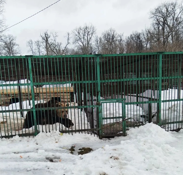 Моя Уфа: исчезнувший Салават, горы грязного снега и добрые люди