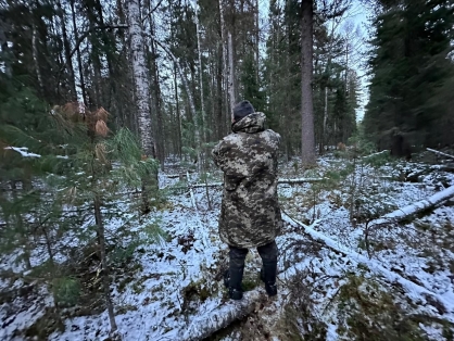 В Югре собиратель шишек убил коллегу, приняв за медведя