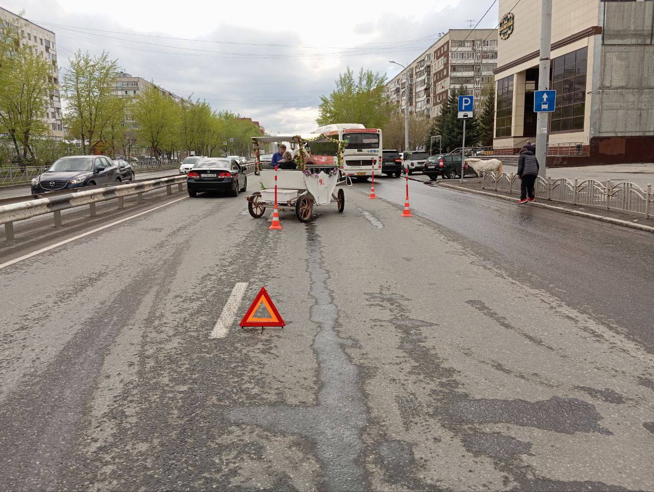 В ДТП на улице Пермякова в Тюмени попала гужевая повозка | Вслух.ru