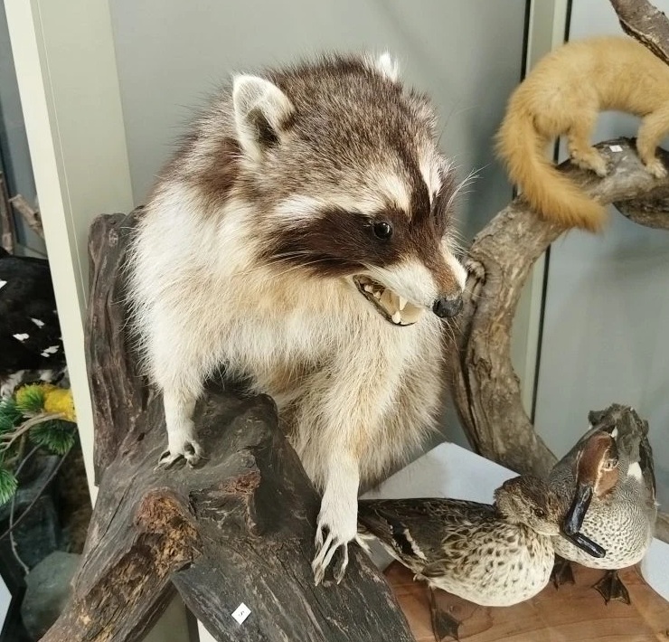 Моя Уфа: исчезнувший Салават, горы грязного снега и добрые люди