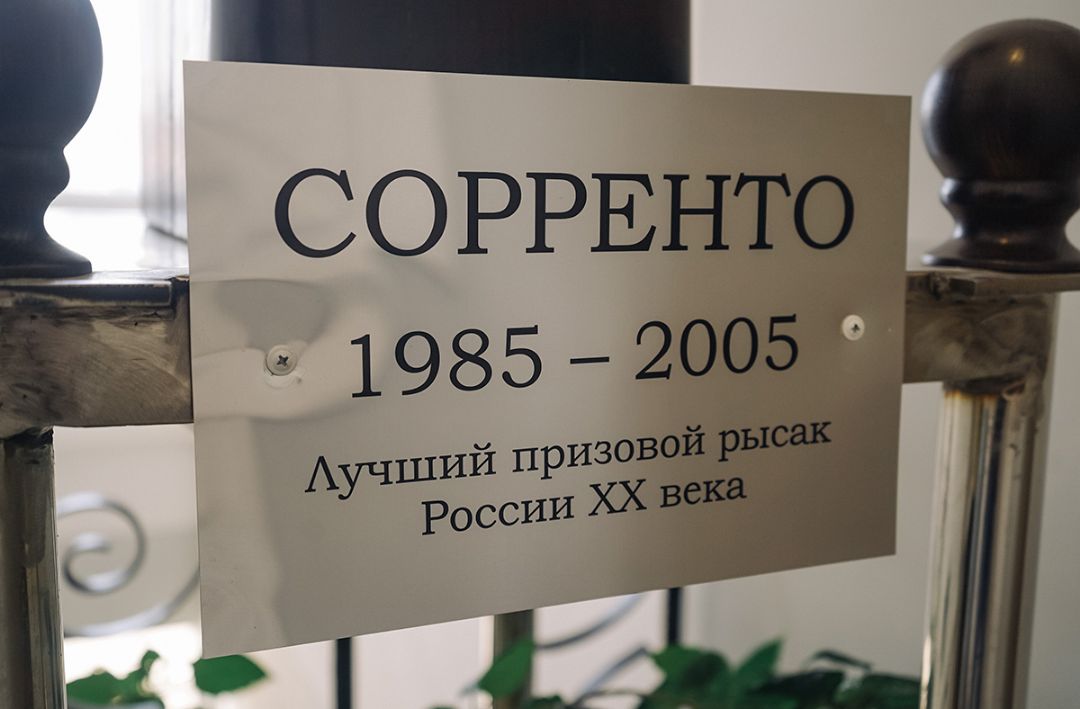 Памятник Сорренто