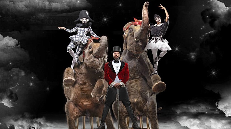 Афиша на 1-2 февраля в Тюмени: цирк, симфония Дранги и спектакль с Авериным