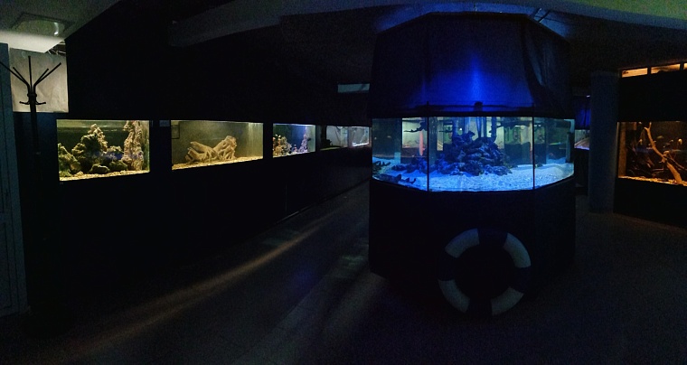 Афиша на 1 сентября: куда сходить с ребенком в Тюмени?