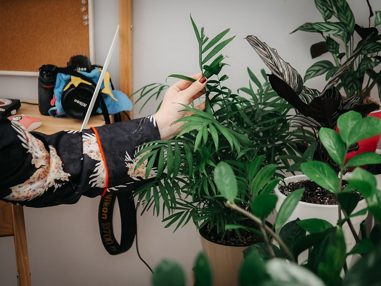 "У меня 50 горшков — я хочу больше”: как тюменка превращает дом в сад