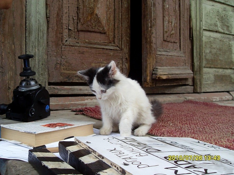 Илья Белостоцкий: Фильму быть!