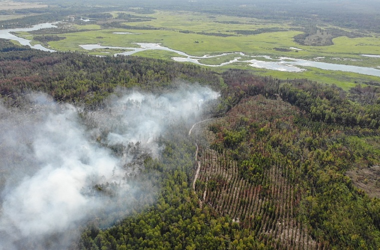 Тюменские леса взяли под охрану беспилотники
