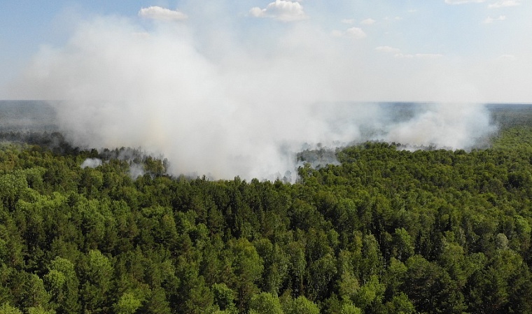 Тюменские леса взяли под охрану беспилотники