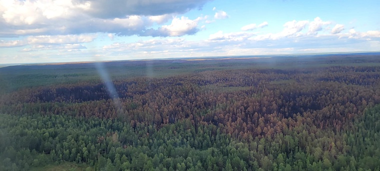 От Коми до Нижнего Новгорода: тюменские десантники-пожарные отличились в нескольких регионах