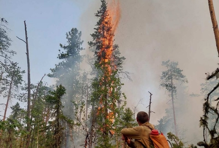 От Коми до Нижнего Новгорода: тюменские десантники-пожарные отличились в нескольких регионах