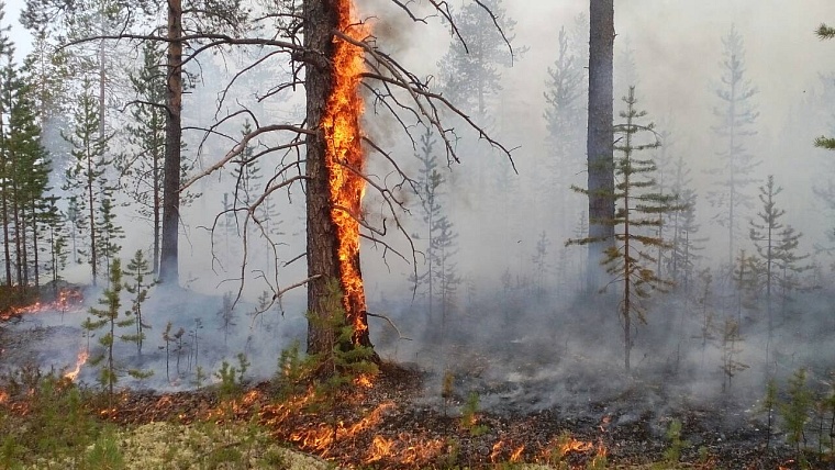 От Коми до Нижнего Новгорода: тюменские десантники-пожарные отличились в нескольких регионах