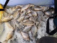 Секреты зимней рыбалки в Тюмени: как в первый раз выйти на лед