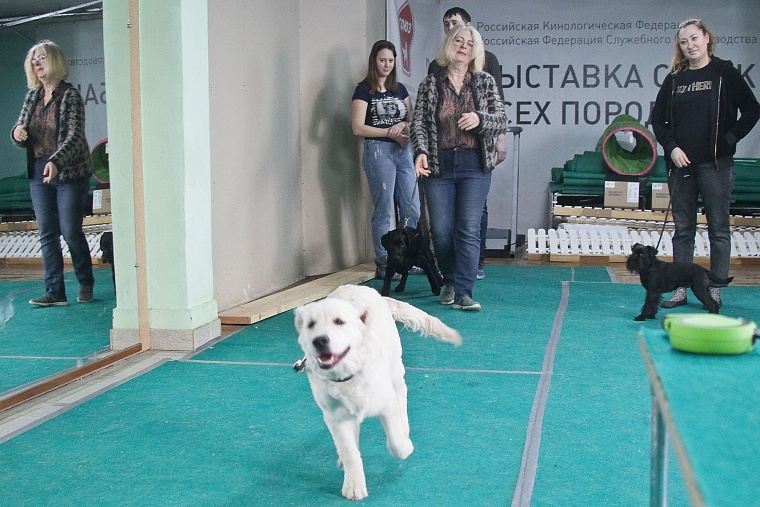 Профессия: «зоопсихолог»