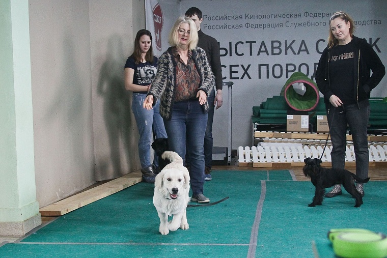 Профессия: «зоопсихолог»