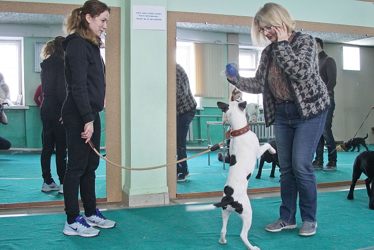 Профессия: «зоопсихолог»