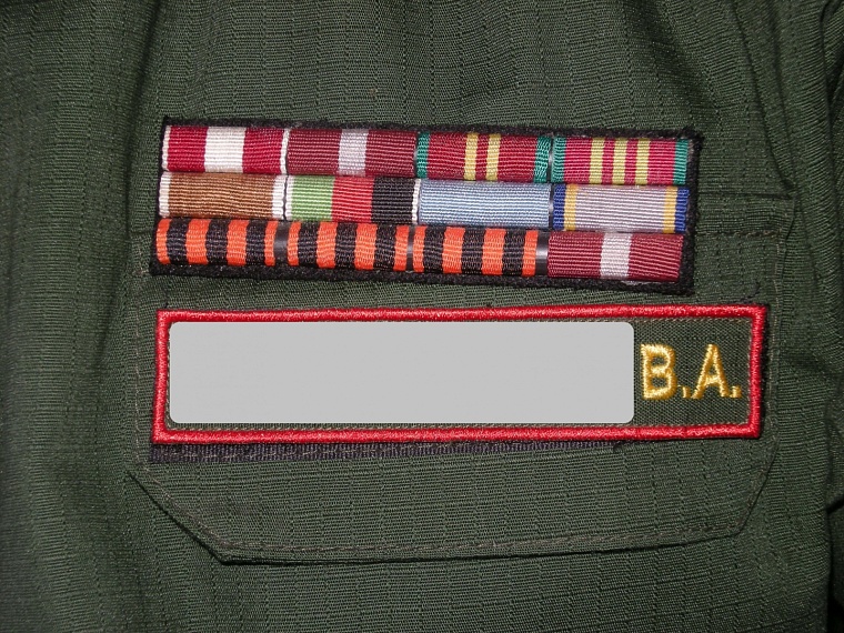 Орденские колодки Виктора