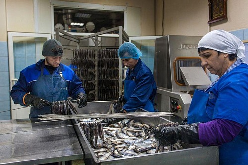 Тюменский рыбзавод признали банкротом