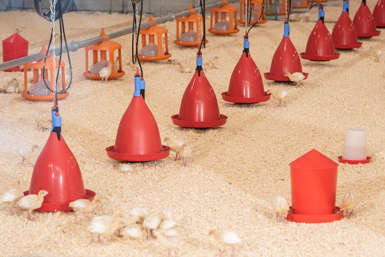 Три инвестпроекта реализуется в АПК Тюменской области