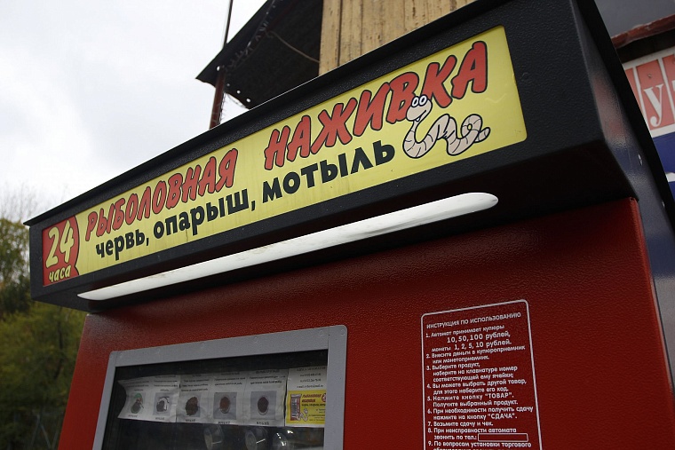 Семейный бизнес, или Как продать калифорнийского червя