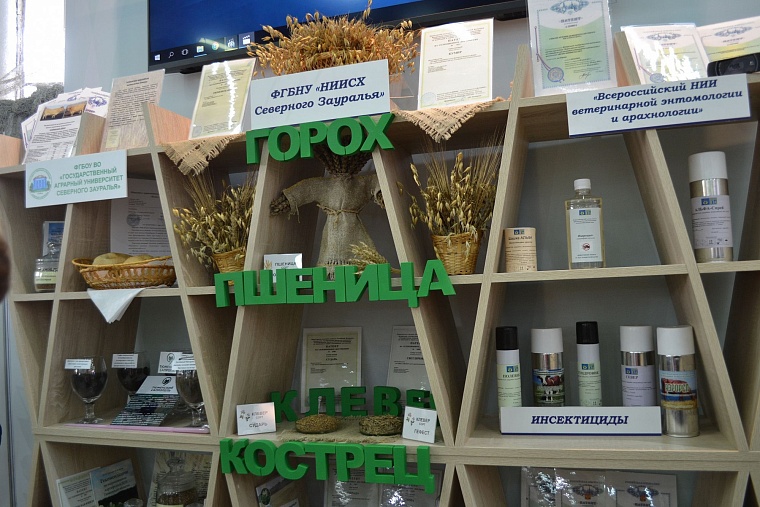 Пармезан тюменский получил название «Губернский»