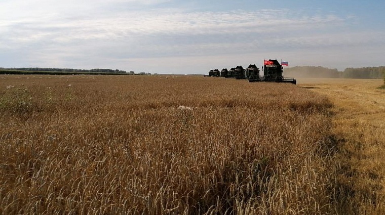 В Тюменской области семена яровых культур проверяют на качество в Россельхозцентре