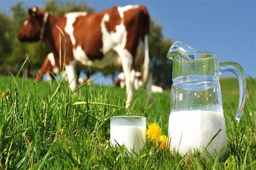 Александр Моор: Мы дойдем до каждого человека, который держит молочную корову