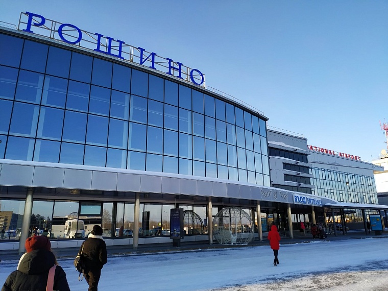 Аэропорт Рощино потратит миллион, чтобы выяснить, как отпугнуть птиц от самолетов