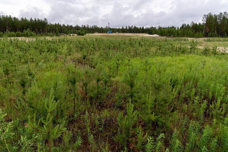 Общественники высоко оценили результаты работы «Газпромнефть-Ноябрьскнефтегаза» в сфере экологии