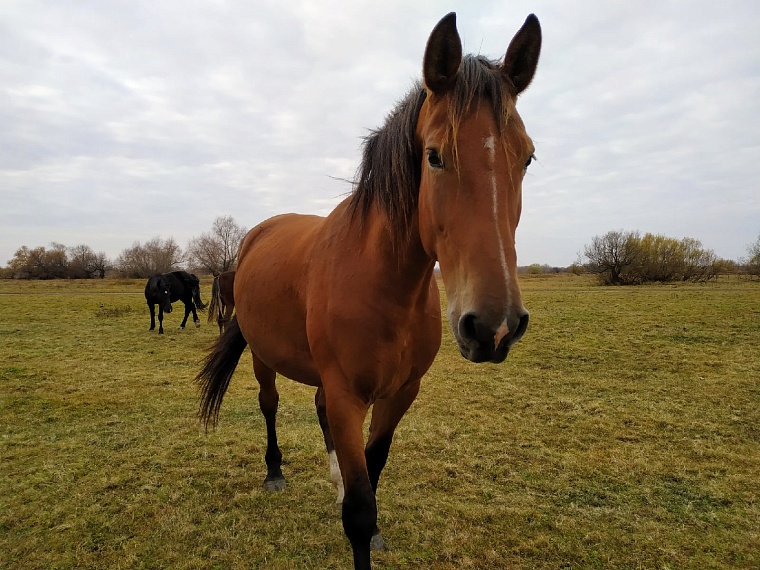 В Уватском районе инвесторы развивают нефтянку, туризм и АПК